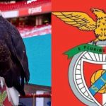 Featured & Cover Benfica Eagle Trainer Arrested for Cocaine Traffickin