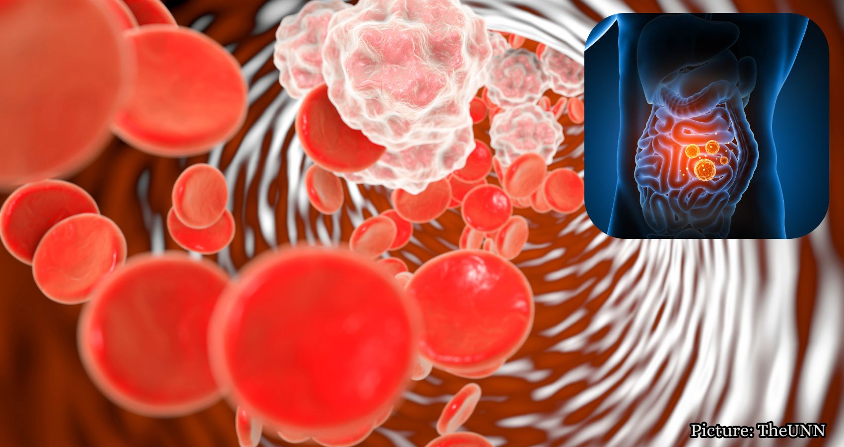 Featured & Cover Inflammation Mechanism