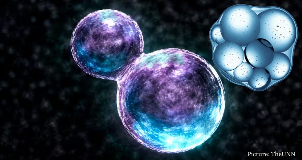 Scientists Develop Synthetic Cell, Sparking Concerns Over Artificial Life