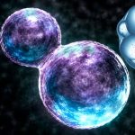 Featured & Cover Scientists Develop Synthetic Cell Sparking Concerns Over Artificial Life
