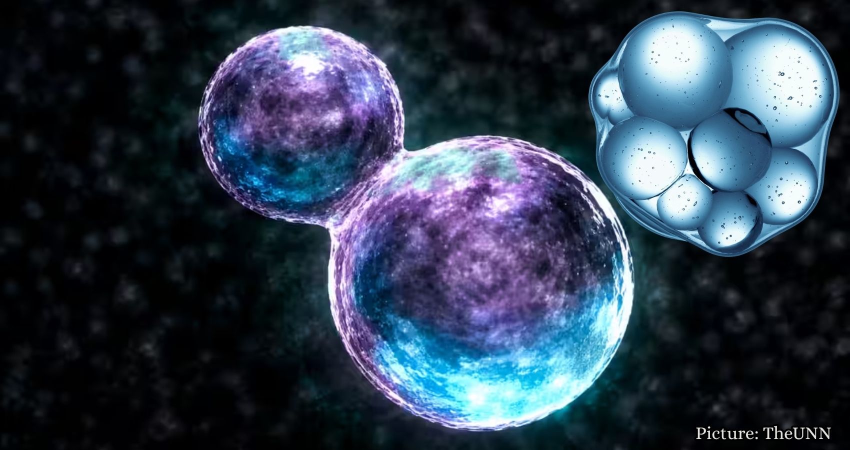 Featured & Cover Scientists Develop Synthetic Cell Sparking Concerns Over Artificial Life