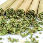 GNN Marijuana Users May Encounter Undetected
