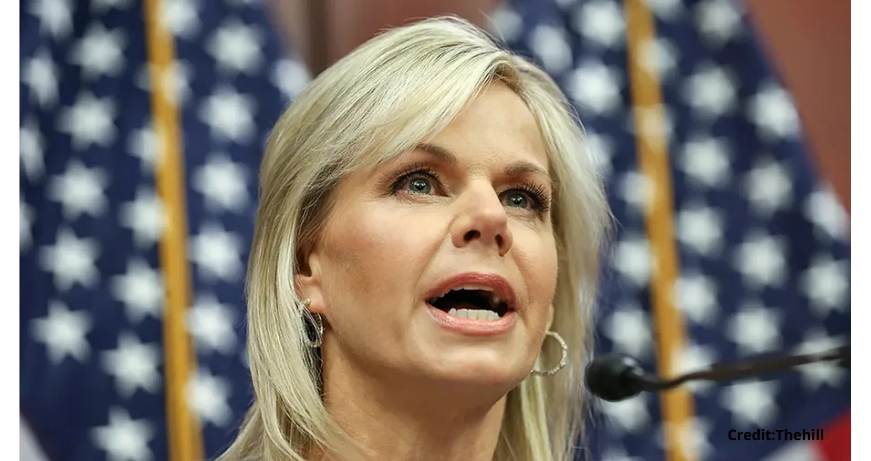 Gretchen Carlson Calls for Press Solidarity Against Misogynistic Insults (1)