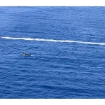 Rescued After Boat Capsizes Near Puerto Rico (1)