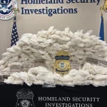 Illegal Immigrant Arrested for Transporting Massive Fentanyl Shipment
