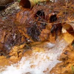 water (1)